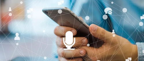 人工智能应用软件开发 驱动高质量发展的新引擎